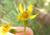 Img.VTax3182.Ex1.Img1