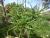 Img.VTax3182.Ex1.Img2