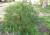 Img.VTax3182.Ex1.Img4