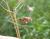 Img.VTax3182.Ex1.Img5