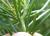 Img.VTax3182.Ex1.Img6