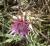 Img.VTax3192.Ex1.Img1