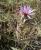 Img.VTax3192.Ex1.Img3