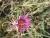 Img.VTax3192.Ex1.Img4