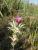 Img.VTax3192.Ex1.Img6