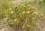Img.VTax3194.Ex1.Img1