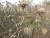 Img.VTax3194.Ex1.Img2