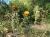 Img.VTax3194.Ex1.Img3
