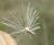 Img.VTax3194.Ex1.Img4