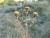 Img.VTax3194.Ex1.Img9