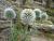 Img.VTax3199.Ex1.Img2