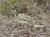 Img.VTax3200.Ex2.Img5
