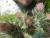 Img.VTax3206.Ex2.Img1