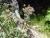 Img.VTax3206.Ex2.Img4