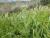 Img.VTax3207.Ex1.Img3