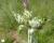 Img.VTax3207.Ex1.Img4