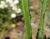 Img.VTax3207.Ex1.Img5