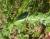Img.VTax3207.Ex1.Img7