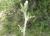 Img.VTax3207.Ex1.Img8