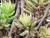 Img.VTax321.Ex2.Img3