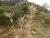 Img.VTax3227.Ex2.Img1