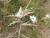 Img.VTax3227.Ex2.Img2