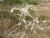 Img.VTax3227.Ex2.Img3