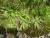 Img.VTax3229.Ex2.Img1