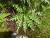 Img.VTax3229.Ex2.Img3
