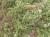 Img.VTax3230.Ex3.Img1