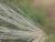 Img.VTax3230.Ex3.Img3