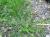 Img.VTax3232.Ex1.Img1