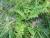 Img.VTax3232.Ex1.Img2