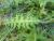 Img.VTax3232.Ex1.Img3