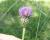 Img.VTax3232.Ex1.Img4