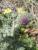 Img.VTax3236.Ex1.Img1
