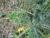 Img.VTax3236.Ex1.Img4