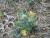 Img.VTax3236.Ex1.Img5