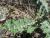 Img.VTax3236.Ex1.Img6