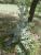 Img.VTax3239.Ex2.Img1