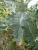 Img.VTax3239.Ex2.Img2