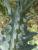Img.VTax3239.Ex2.Img5
