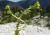 Img.VTax324.Ex1.Img1