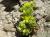 Img.VTax324.Ex1.Img3