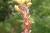 Img.VTax324.Ex1.Img4