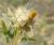 Img.VTax3277.Ex1.Img1