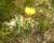 Img.VTax3277.Ex1.Img2
