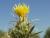 Img.VTax3277.Ex1.Img3
