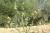 Img.VTax3277.Ex1.Img5