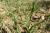 Img.VTax3277.Ex1.Img6